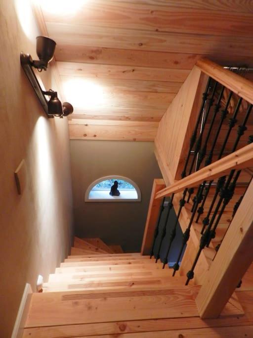 Tiny House Tholen 빌라 외부 사진